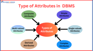 types of attributes in DBMS